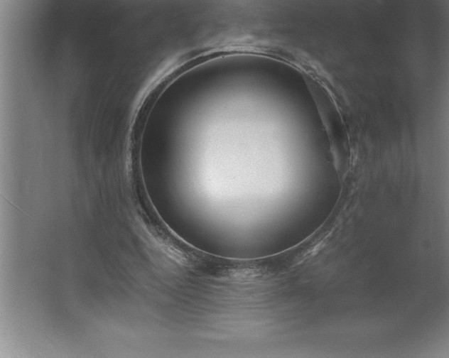 X0000062650344200512281653