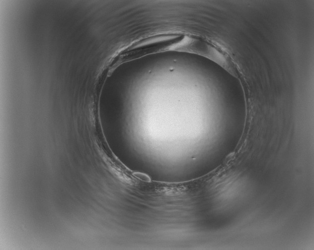 X0000062650345200512281653