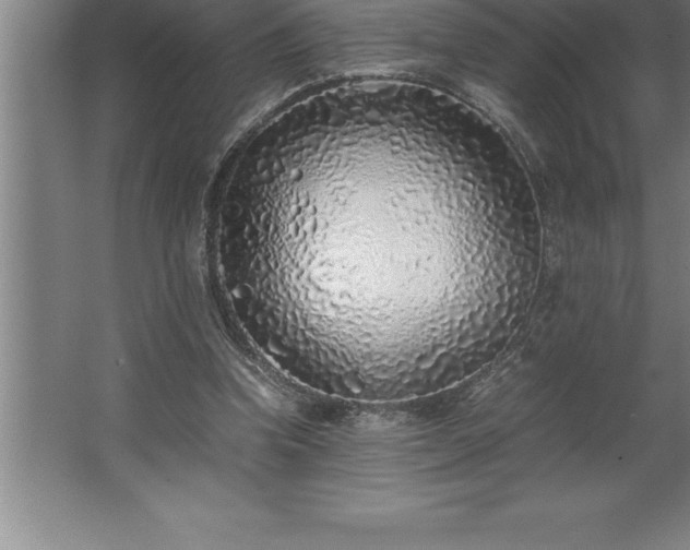 X0000062650346200512281653