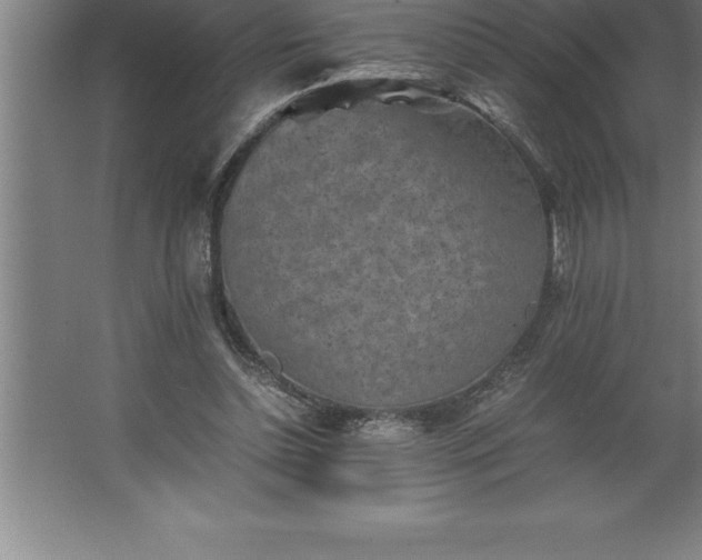 X0000062650348200512281653