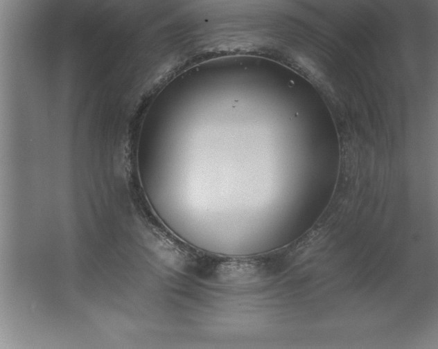 X0000062650354200512281653