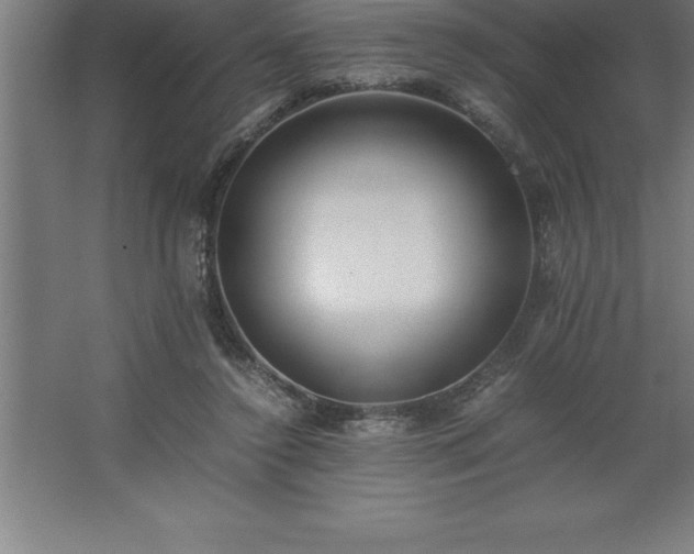 X0000062650356200512281653