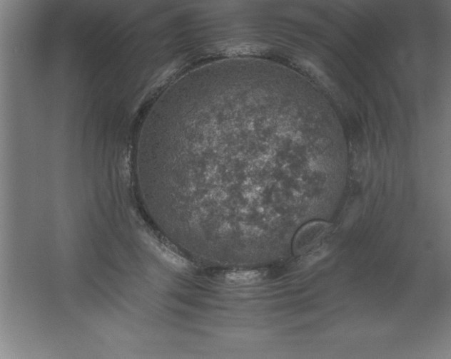 X0000062650357200512281653