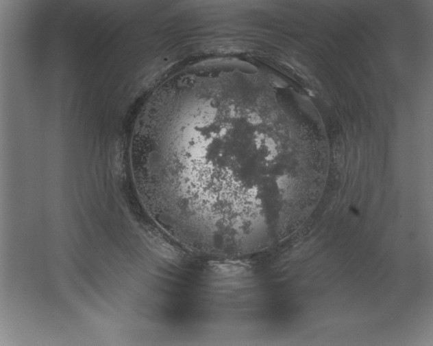 X0000062650359200512281653