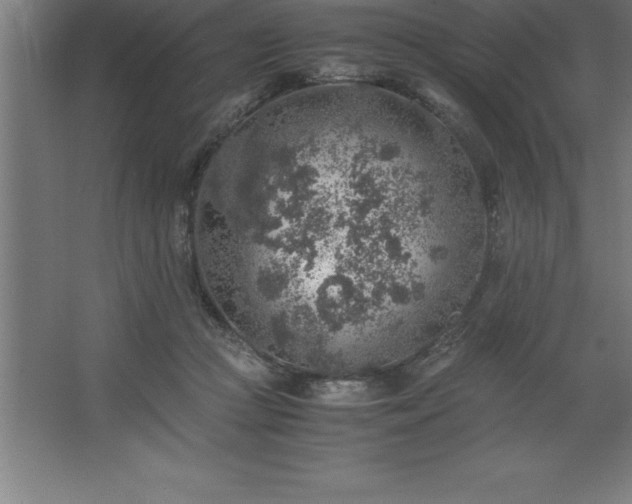 X0000062650361200512281653