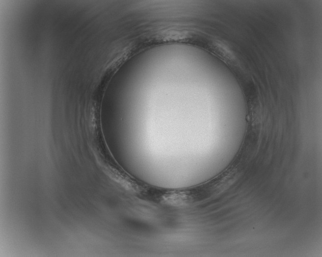 X0000062650362200512281653