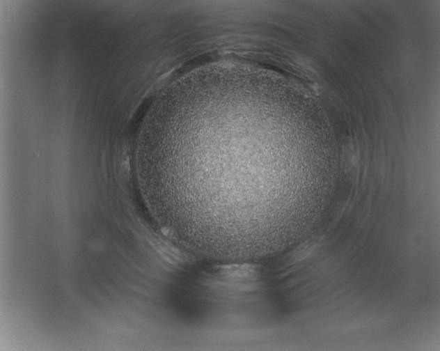 X0000062650363200512281653