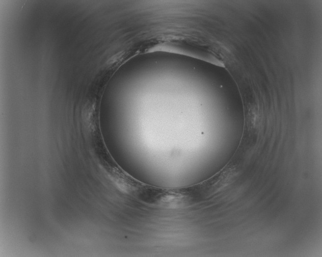 X0000062650364200512281653