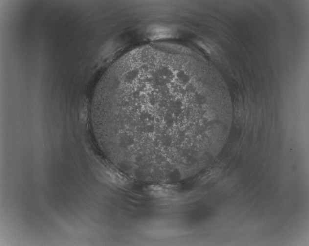 X0000062650367200512281653