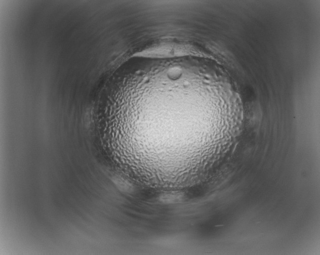 X0000062650369200512281653