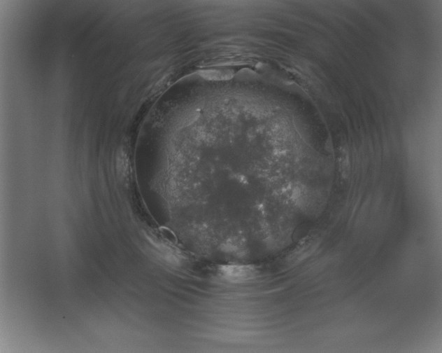 X0000062650371200512281653