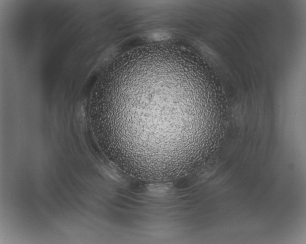 X0000062650373200512281653