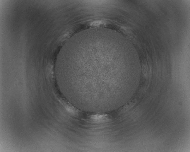 X0000062650375200512281653