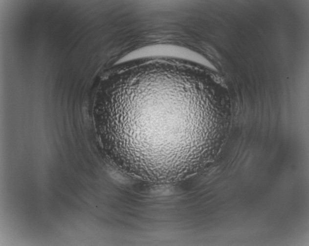 X0000062650377200512281653