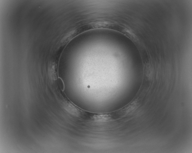 X0000062650378200512281653