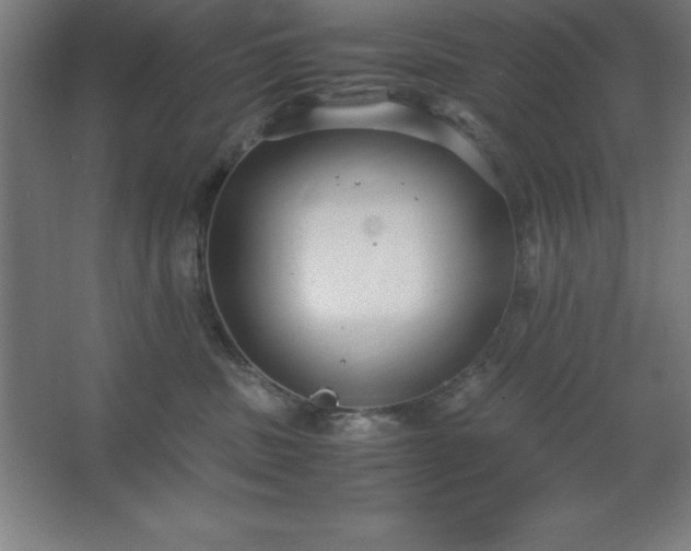 X0000062650379200512281653