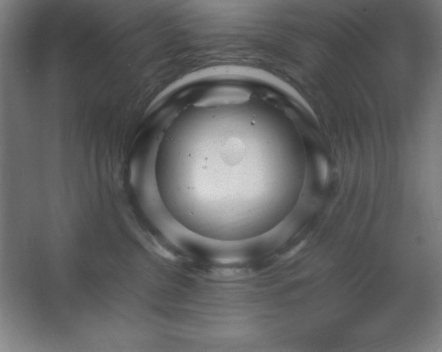 X0000062650380200512281653