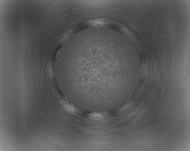 X0000062650381200512281653