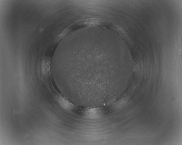 X0000062650382200512281653