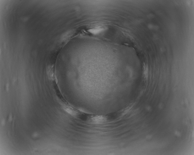 X0000062650383200512281653