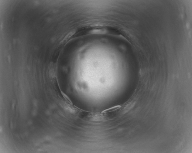 X0000062650384200512281653