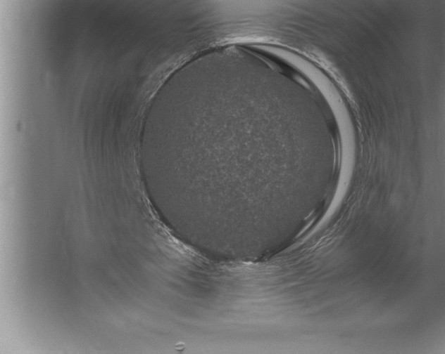 X0000062650385200512281653