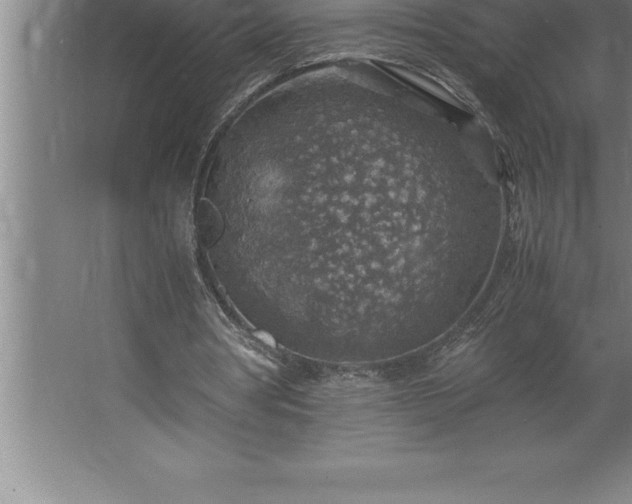 X0000062650386200512281653