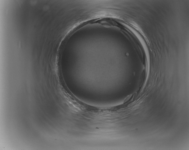 X0000062650387200512281653