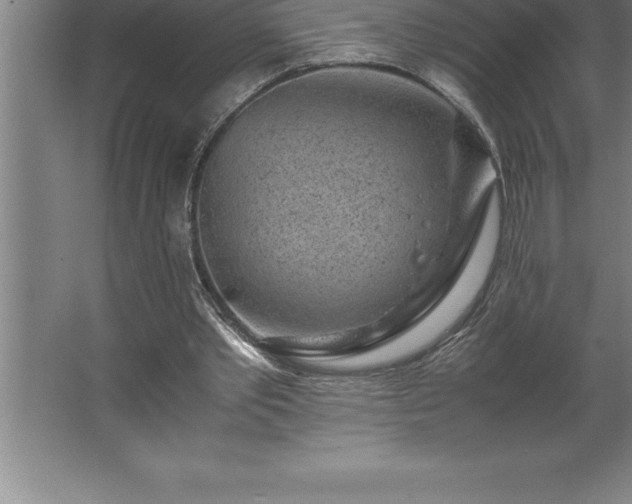 X0000062650389200512281652