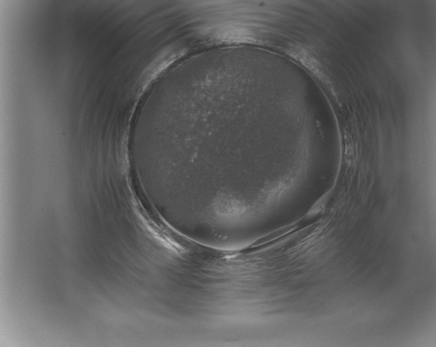 X0000062650390200512281652