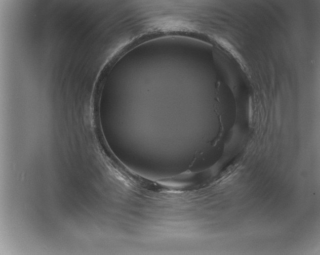 X0000062650391200512281652