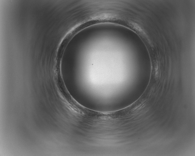 X0000062650392200512281652