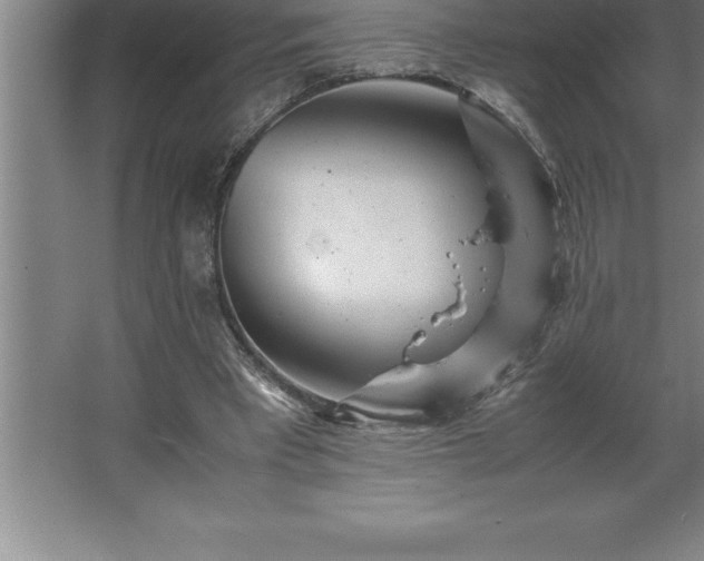 X0000062650393200512281652