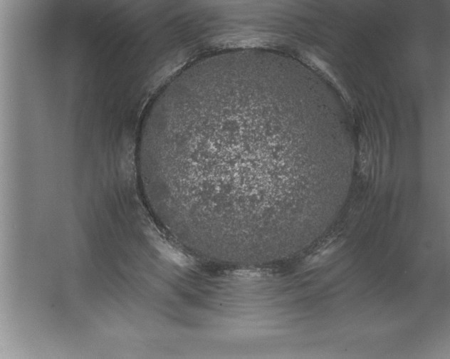 X0000062650394200512281652