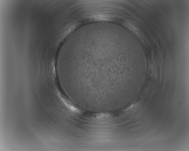 X0000062650398200512281652