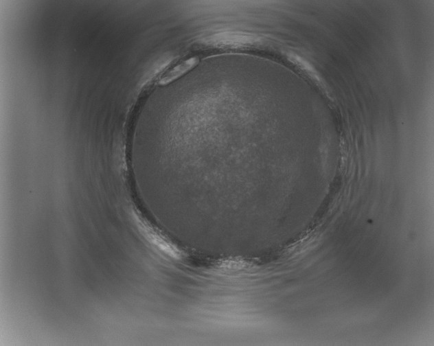 X0000062650399200512281652