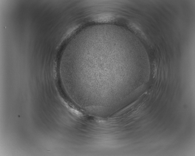 X0000062650400200512281652