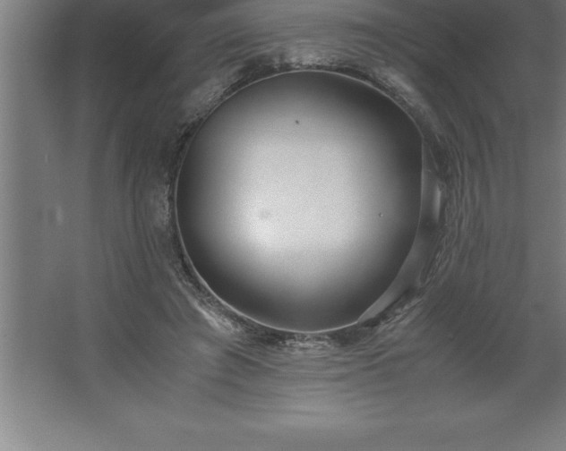 X0000062650401200512281652