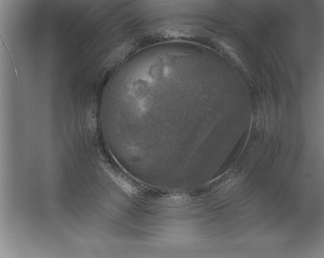 X0000062650402200512281652