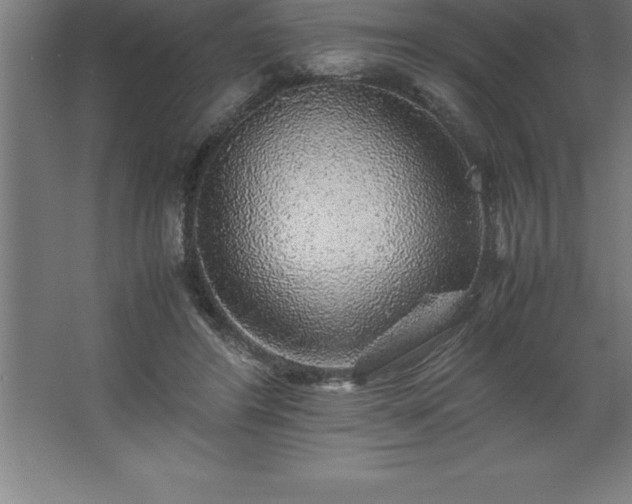 X0000062650404200512281652