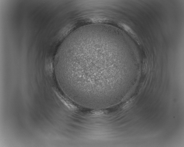 X0000062650405200512281652