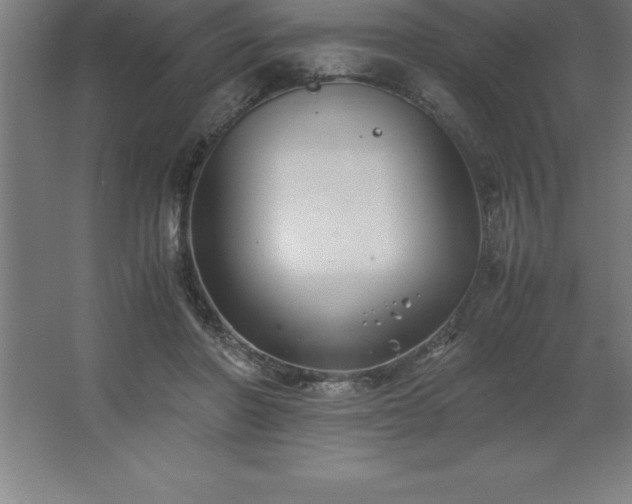 X0000062650406200512281652