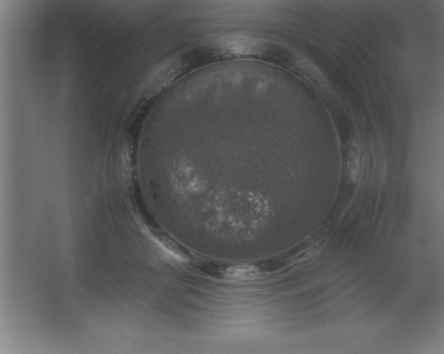 X0000062650410200512281652