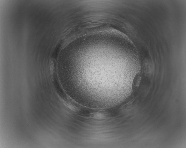 X0000062650412200512281652