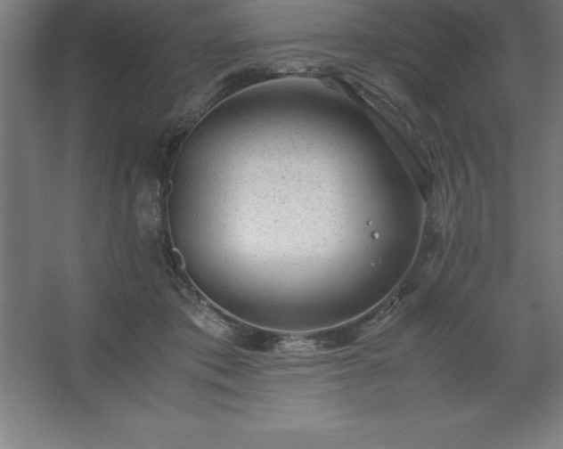 X0000062650413200512281652