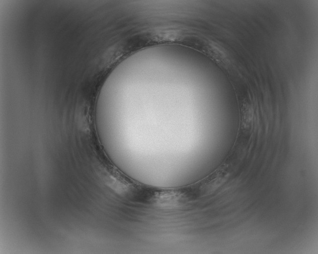 X0000062650414200512281652