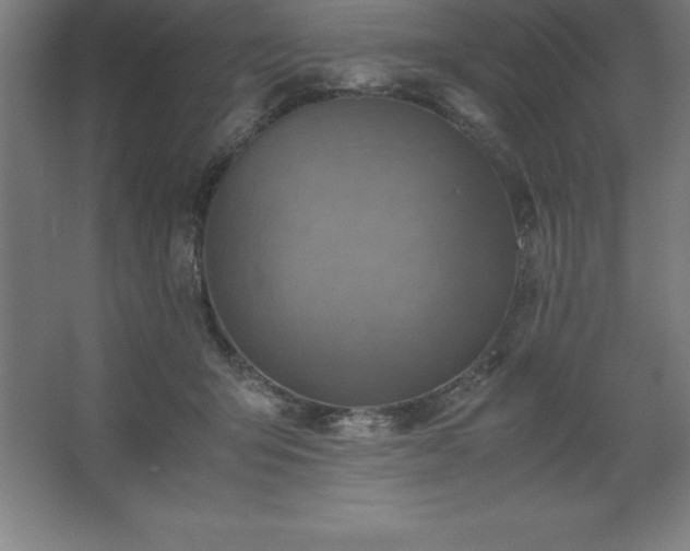 X0000062650415200512281652