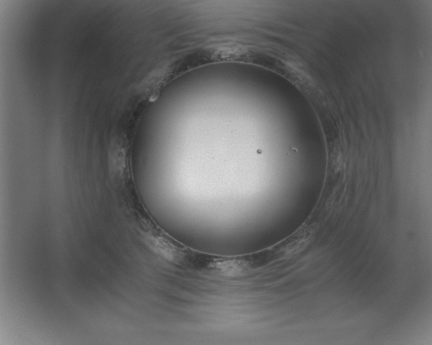 X0000062650417200512281652