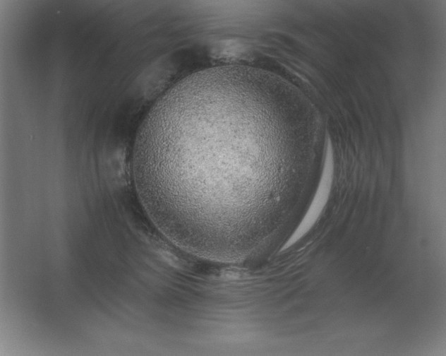 X0000062650420200512281652