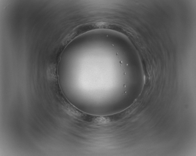 X0000062650421200512281652